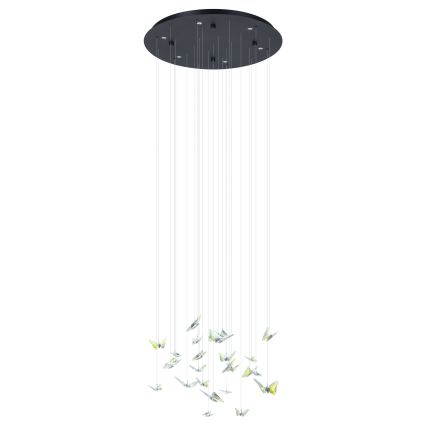 Eglo - Lustre LED dimerizável em cabo 6xLED/4,2W/230V preto/transparente
