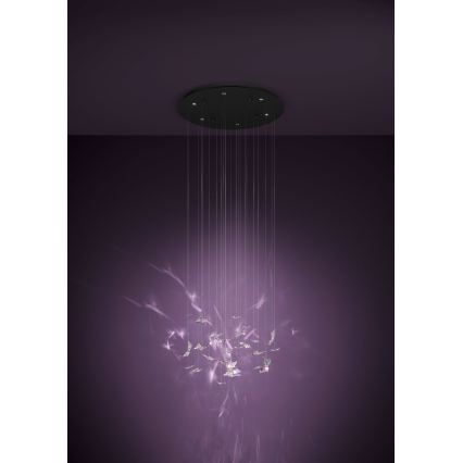 Eglo - Lustre LED dimerizável em cabo 6xLED/4,2W/230V preto/transparente