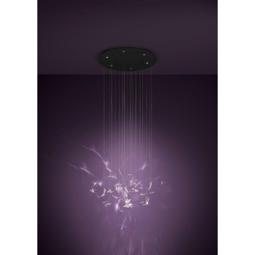 Eglo - Lustre LED dimerizável em cabo 6xLED/4,2W/230V preto/transparente