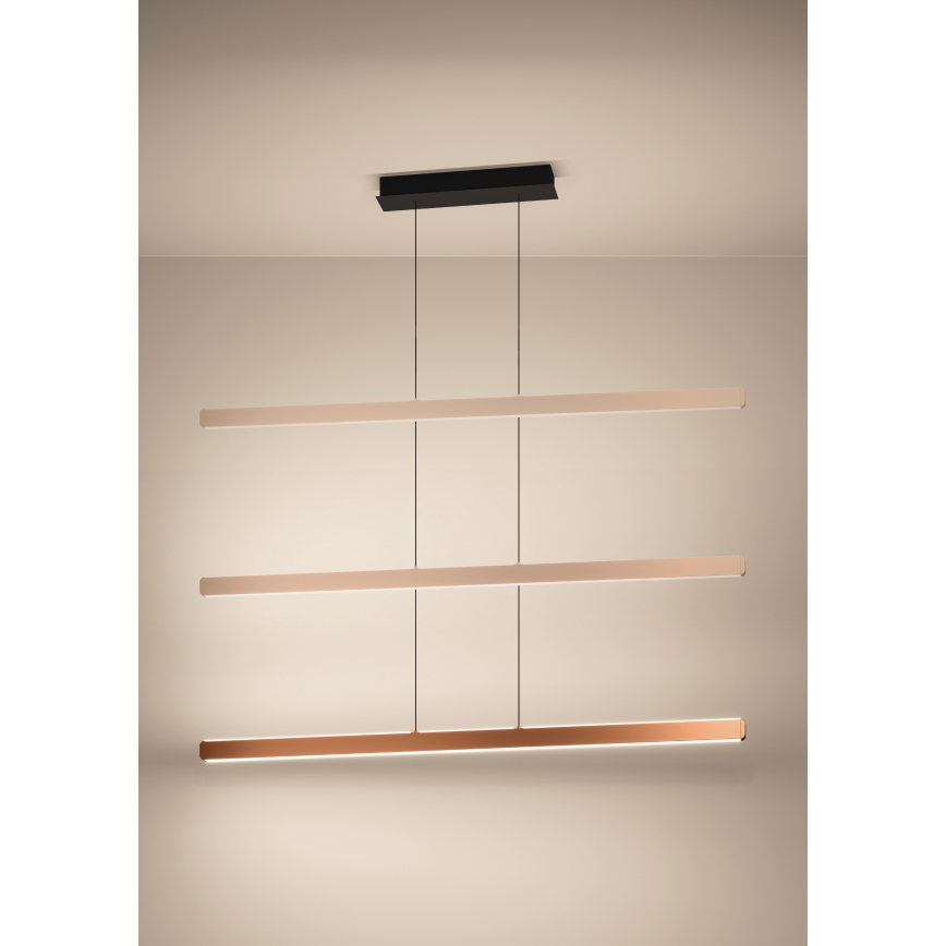 Eglo - Lustre LED regulável suspenso por cabo LED/30W/230V 2200-6500K dourado + controlo remoto