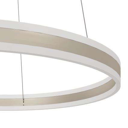 Eglo - Candelabro num fio fosco LED LED/78W/230V