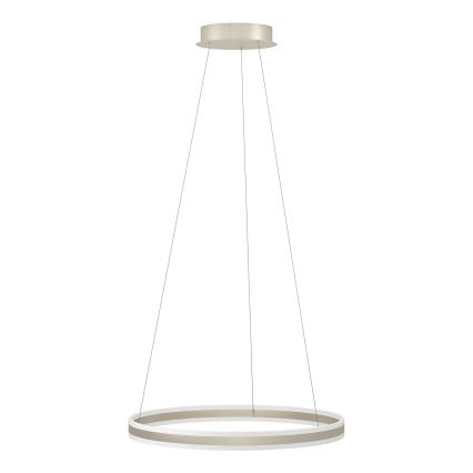 Eglo - Candelabro num fio fosco LED LED/78W/230V