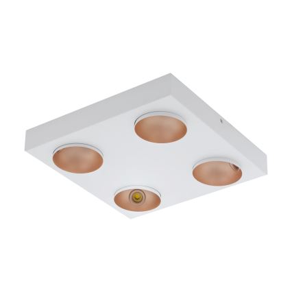 Eglo - Luz de teto fosca LED 4xLED/3,3W/230V