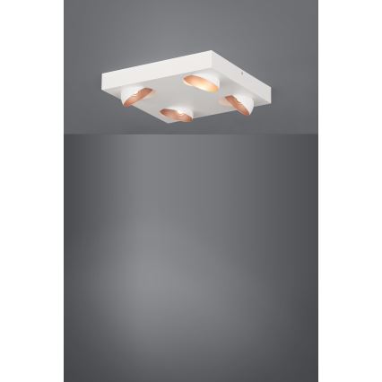 Eglo - Luz de teto fosca LED 4xLED/3,3W/230V