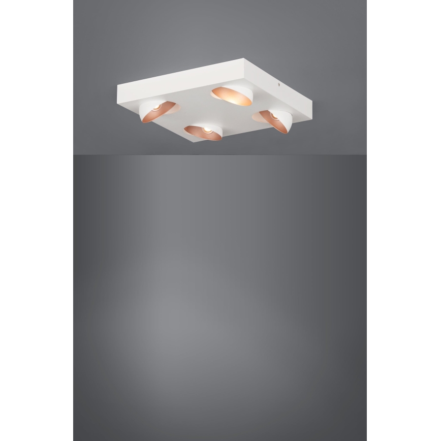 Eglo - Luz de teto fosca LED 4xLED/3,3W/230V