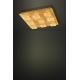 Eglo - LED Luz com regulação 4xLED/5,4W/230V + 9xLED/4,5W