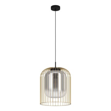 Eglo 39695 - Lustre suspenso por cabo CAMINATA 1xE27/40W/230V preto/dourado