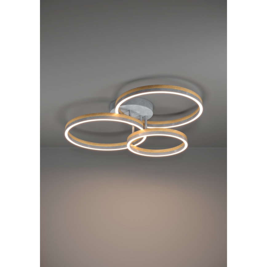 Eglo - Candeeiro integrado LED com regulação LED/12,5W/230V + 2xLED/15,5W 3000K cinzento/castanho