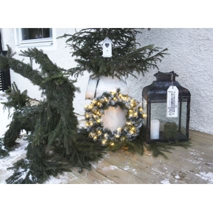 Eglo  - Grinalda exterior de Natal LED 30xLED/0,064W/3/230V IP44