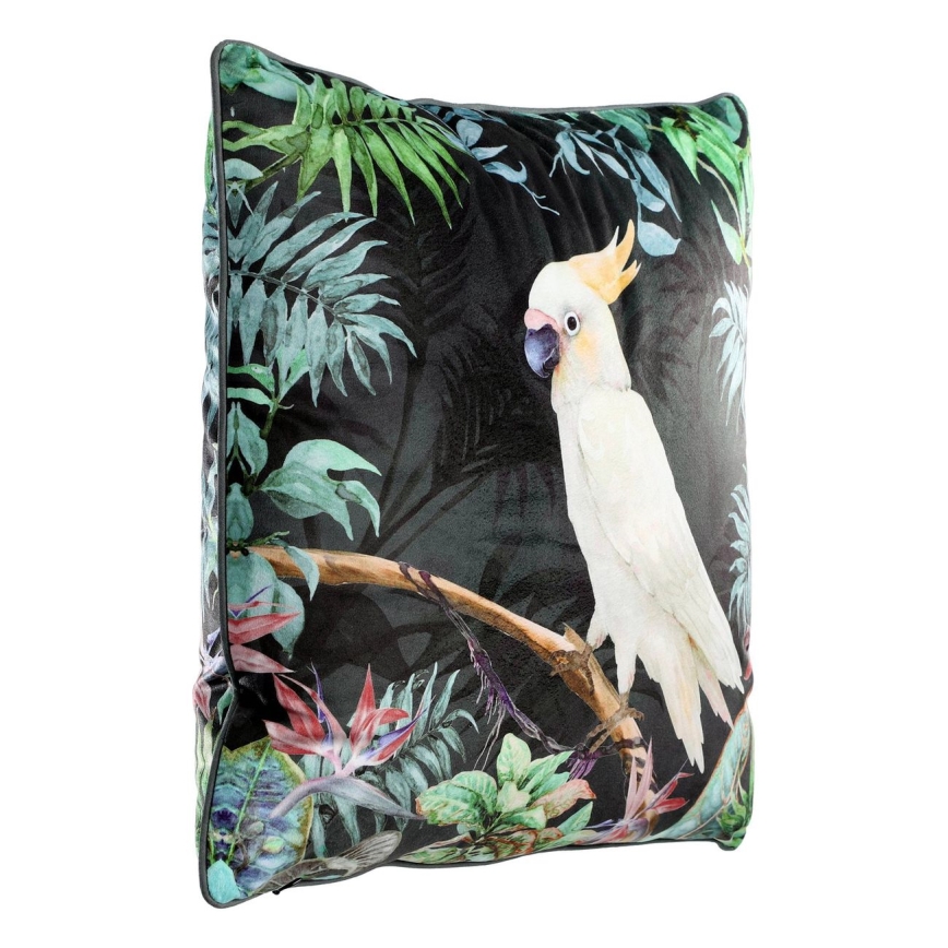 Eglo - Almofada decorativa 45x45 cm colorido