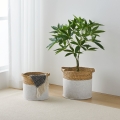 Eglo 426584 - Pack de 2 cestos decorativos NANAE 30x31 cm branco/bege