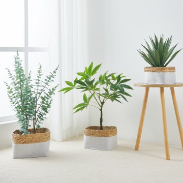 Eglo 426585 - Conjunto de 3 cestos decorativos NANAE 16x27 cm branco/bege