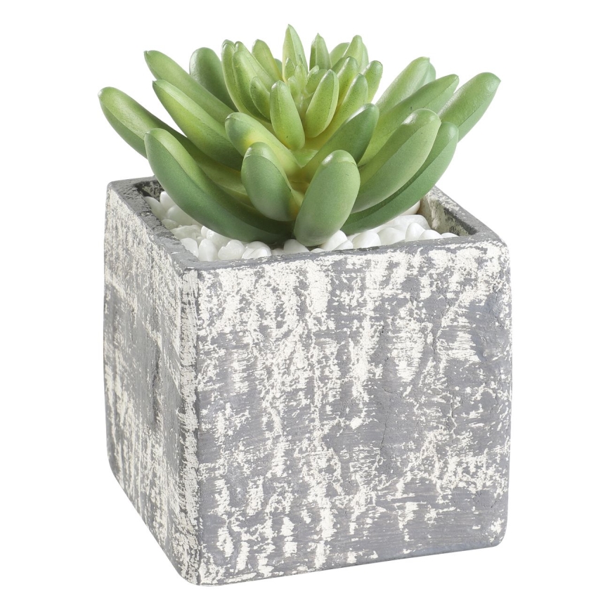 Eglo - Planta artificial em vaso 12x7,5 cm suculenta