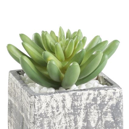 Eglo - Planta artificial em vaso 12x7,5 cm suculenta
