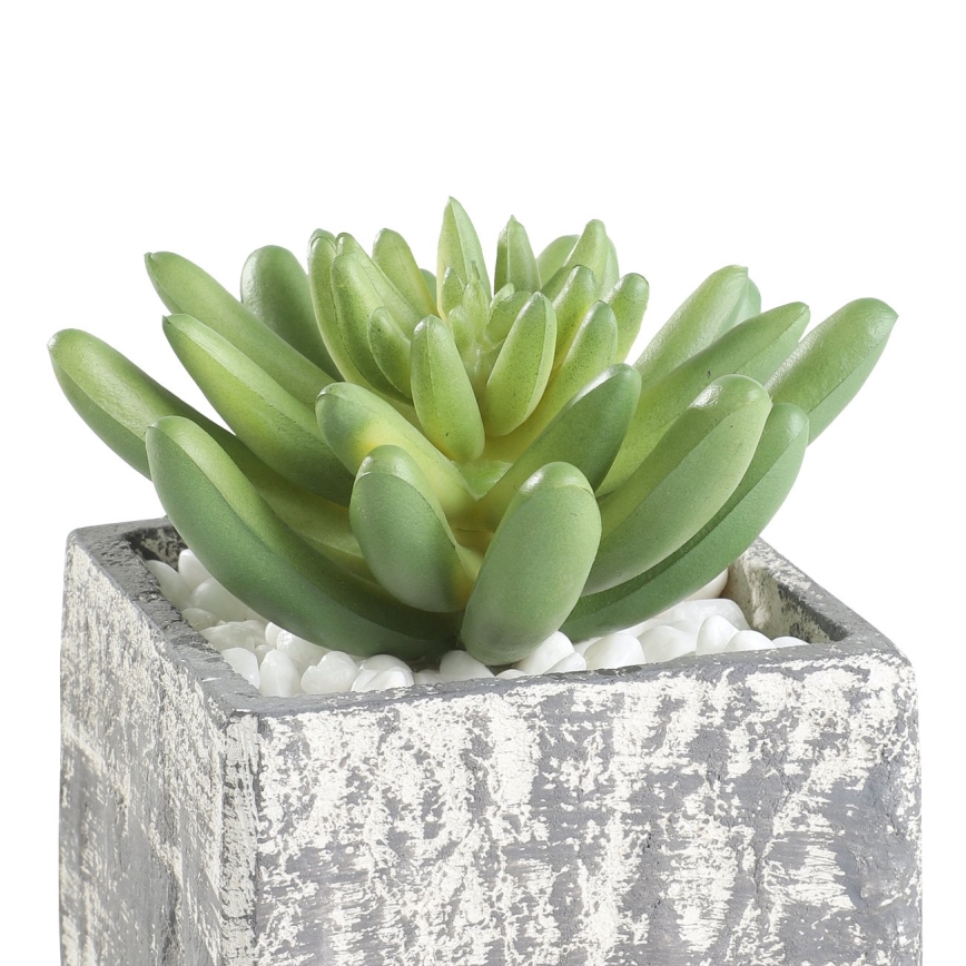 Eglo - Planta artificial em vaso 12x7,5 cm suculenta