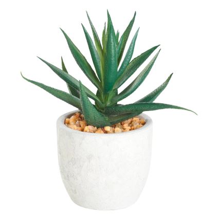 Eglo - Planta artificial em vaso 15,5x10 cm suculenta