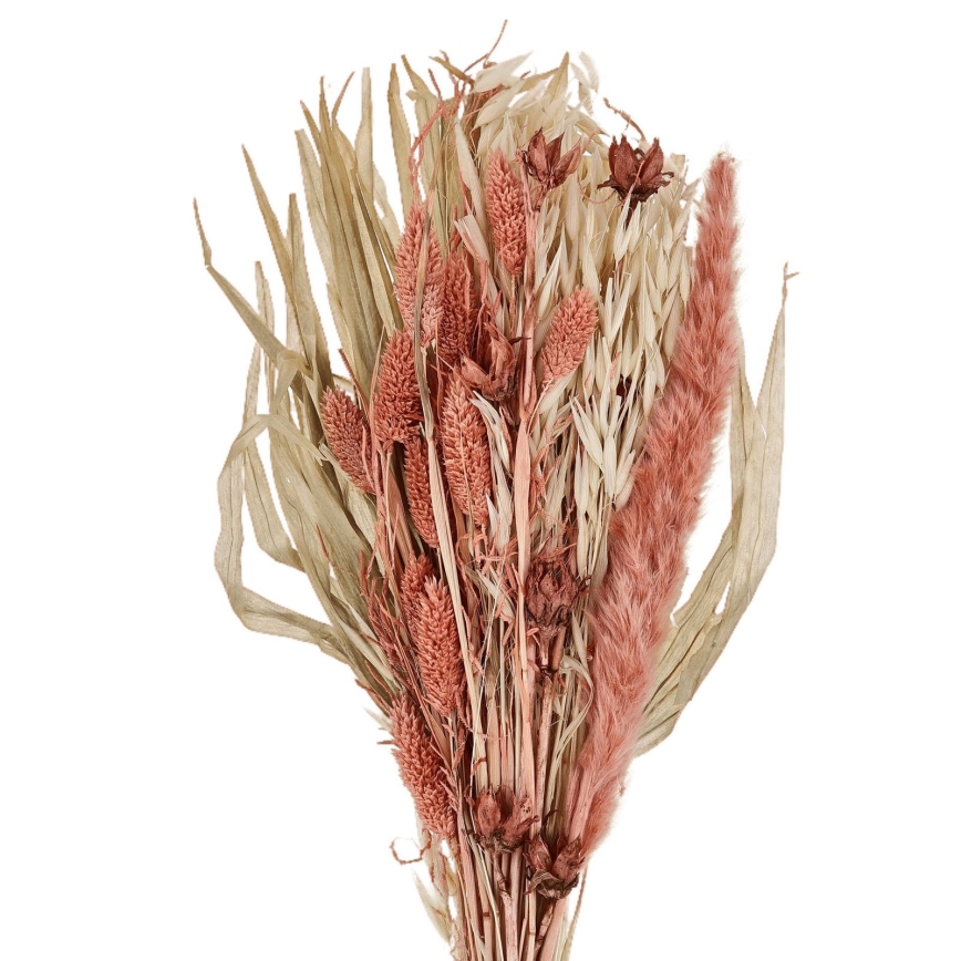 Eglo - Flor seca 60 cm laranja