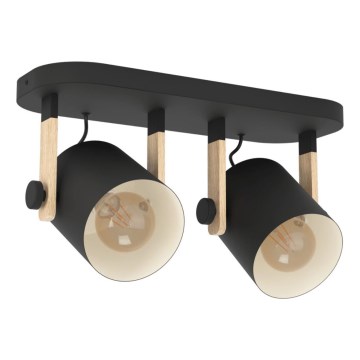 Eglo 43557 - Luminária spot HORNWOOD 2xE27/28W/230V preta