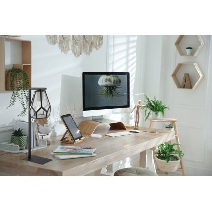 Eglo - Candeeiro de mesa 1xE27/40W/230V