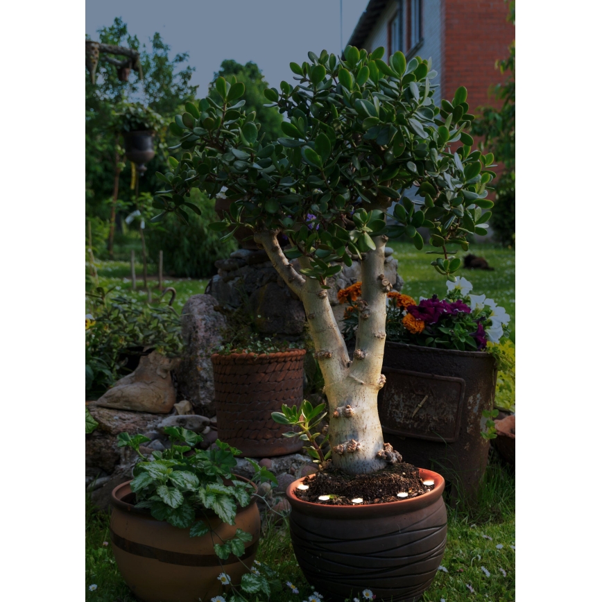 Eglo - Corrente decorativa exterior LED SPINETOLI 6xLED IP65