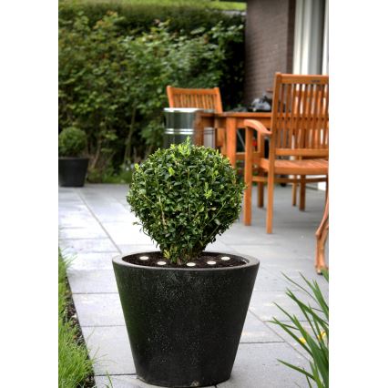 Eglo - Corrente decorativa exterior LED SPINETOLI 6xLED IP65