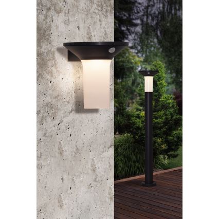 Eglo - Luminária solar LED para exterior com sensor 6xLED/0,03W/3,7V IP44
