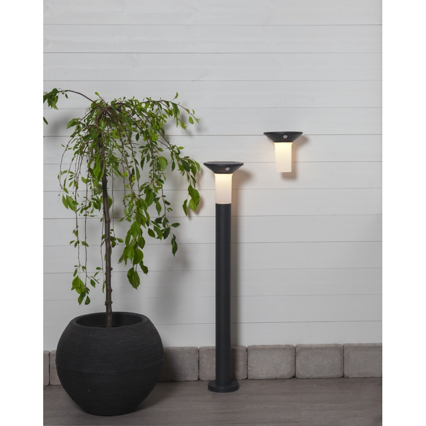 Eglo - Lâmpada solar LED para exterior com sensor 6xLED/0,03W/3,7V 1500 mAh IP44