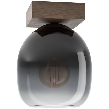 Eglo - Iluminação de teto 1xE27/40W/230V