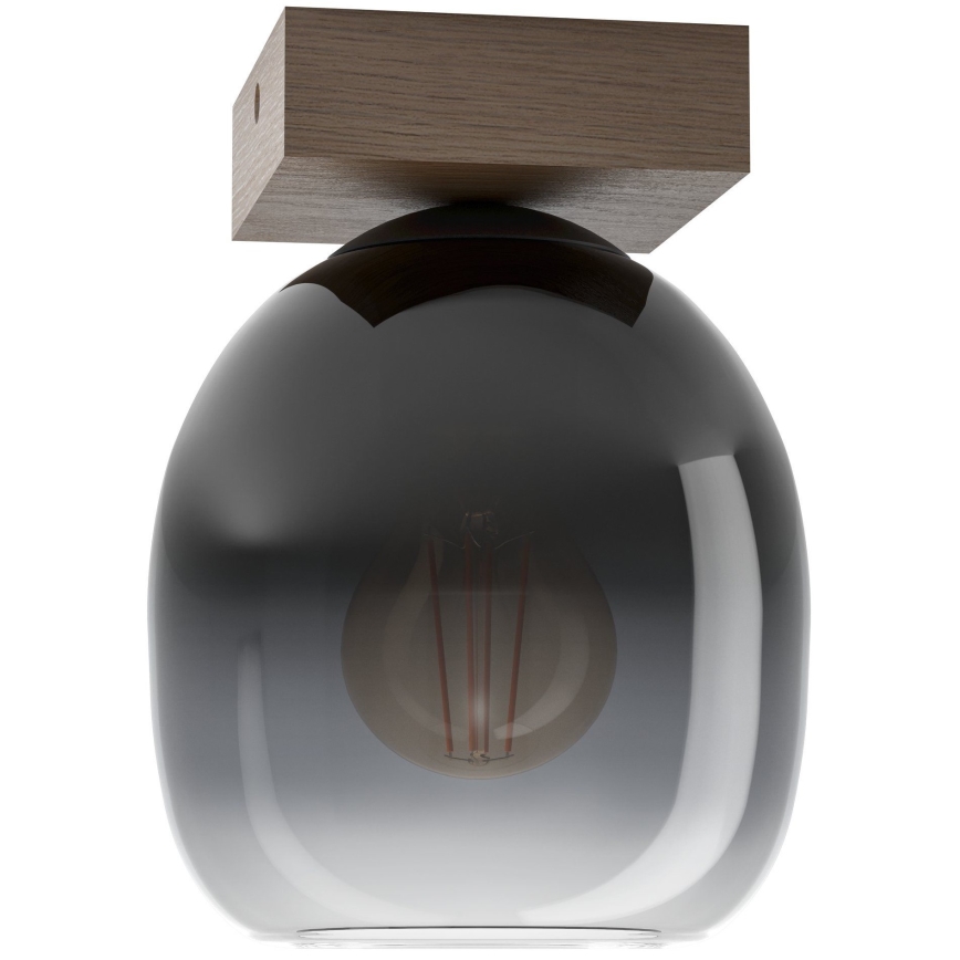 Eglo - Iluminação de teto 1xE27/40W/230V