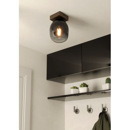 Eglo - Iluminação de teto 1xE27/40W/230V