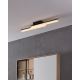 Eglo - Iluminação de teto de casa de banho LED 2xLED/11W/230V IP44