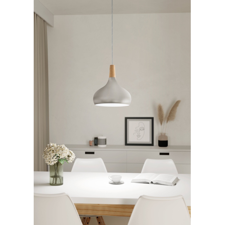 Eglo - Lustre suspenso por cabo 1xE27/60W/230V, Ø 28 cm, acabamento prateado