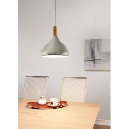 Eglo - Lustre suspenso por cabo 1xE27/60W/230V, Ø 28 cm, acabamento prateado