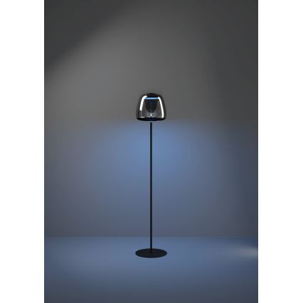 Eglo - Candeeiro de pé LED RGBW regulável LED/15,5W/230V 2700-6500K fumado
