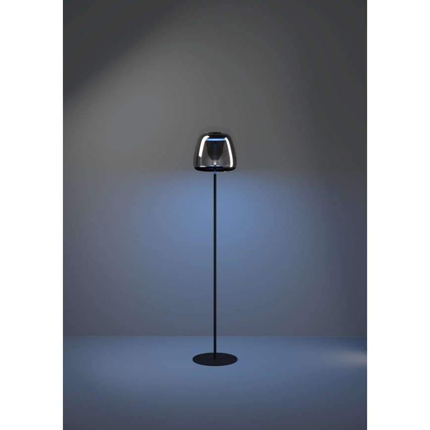 Eglo - Candeeiro de pé LED RGBW regulável LED/15,5W/230V 2700-6500K fumado