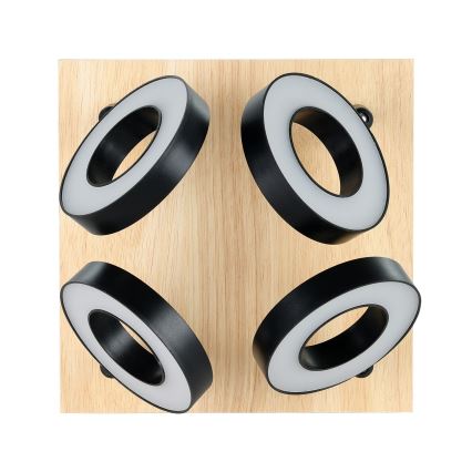 Eglo - Spot LED 4xLED/4,2W/230V preto/castanho