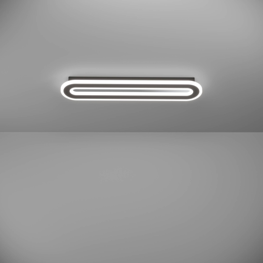 Eglo - Iluminação de teto LED com regulação LED/20W/230V 2700-6500K preto + comando