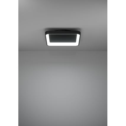 Eglo - Iluminação de teto LED com regulação LED/12W/230V 2700-6500K preto + comando