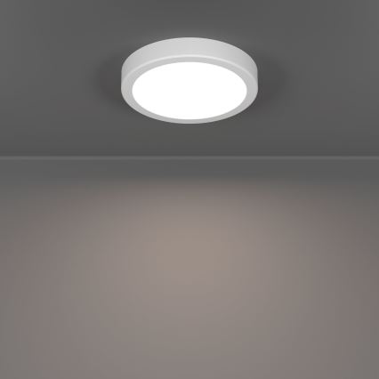 Eglo - LED Candeeiro de teto LED/7,5W/230V 2700/4000/6500K pr. 16,6 cm branco