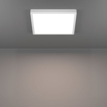 Eglo - Candeeiro de tecto LED/13W/230V 2700/4000/6500K 29x29 cm branco