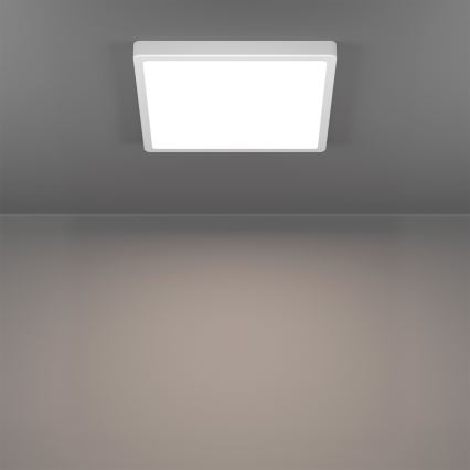 Eglo - Candeeiro de tecto LED RGBW dimerizável para casa de banho LED/13,5W/230V 2700-6500K 29,5x29,5 cm IP44 branco