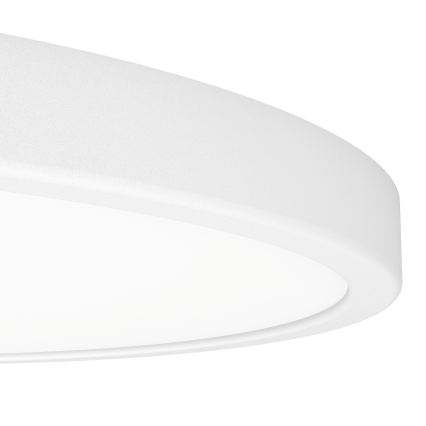 Eglo - Plafon LED RGBW dimerizável para casa de banho LED/17,5W/230V 2700-6500K Ø 38,9 cm IP44 branco