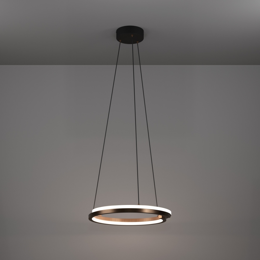 Eglo - Lustre LED dimerizável em cabo, 2xLED/20W/230V, 2700-6500K, Ø 48 cm, acabamento bronze + controlo remoto