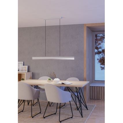 Eglo - Lustre suspenso por cabo LED RGBW dimerizável LED/19W/230V 2700–6500K cinzento