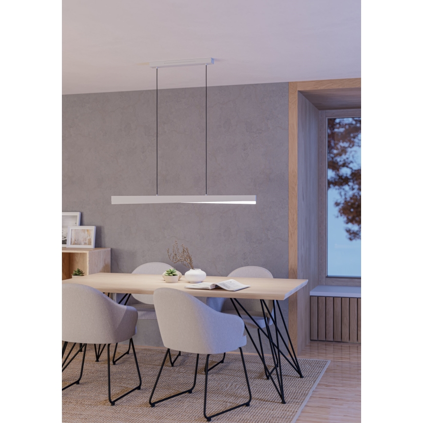 Eglo - Lustre suspenso por cabo LED RGBW dimerizável LED/19W/230V 2700–6500K cinzento
