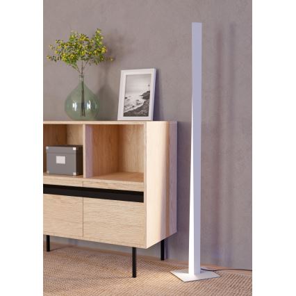 Eglo - Candeeiro de pé LED RGBW regulável LED/10,5W/230V + LED/15,2W cinzento