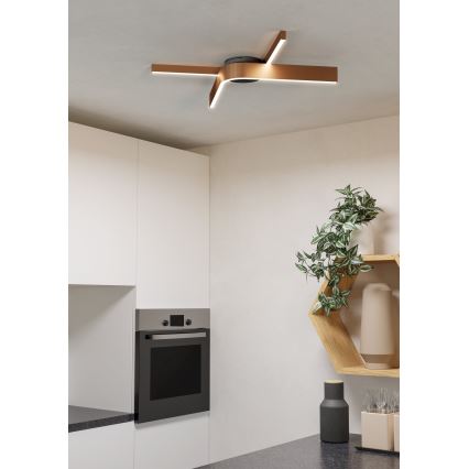 Eglo - Candeeiro de teto LED RGBW dimerizável 2xLED/18W/230V cobre/preto