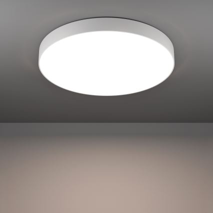 Eglo - LED RGBW Dimerizável candeeiro de tecto LED/36,5W/230V 2700-6500K Ø 69 cm branco