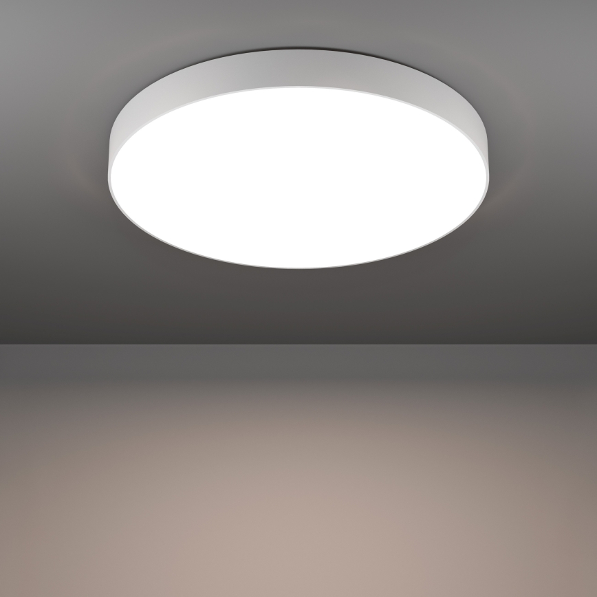 Eglo - LED RGBW Dimerizável candeeiro de tecto LED/36,5W/230V 2700-6500K Ø 69 cm branco