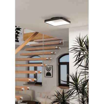 Eglo - Luminária de teto RGBW dimerizável LED/20W/230V 2700-6500K 35x35 cm preta